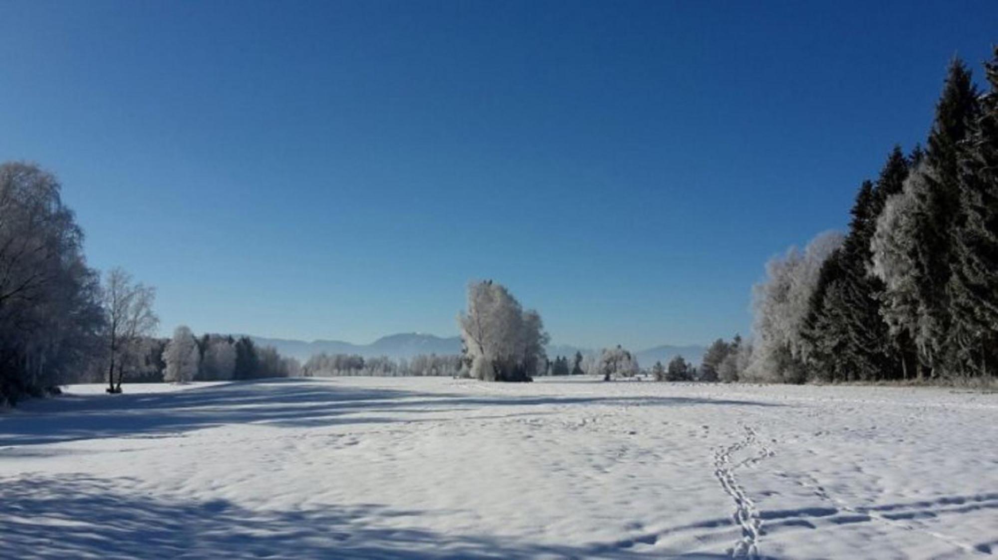 Druckerhof Апартаменты *