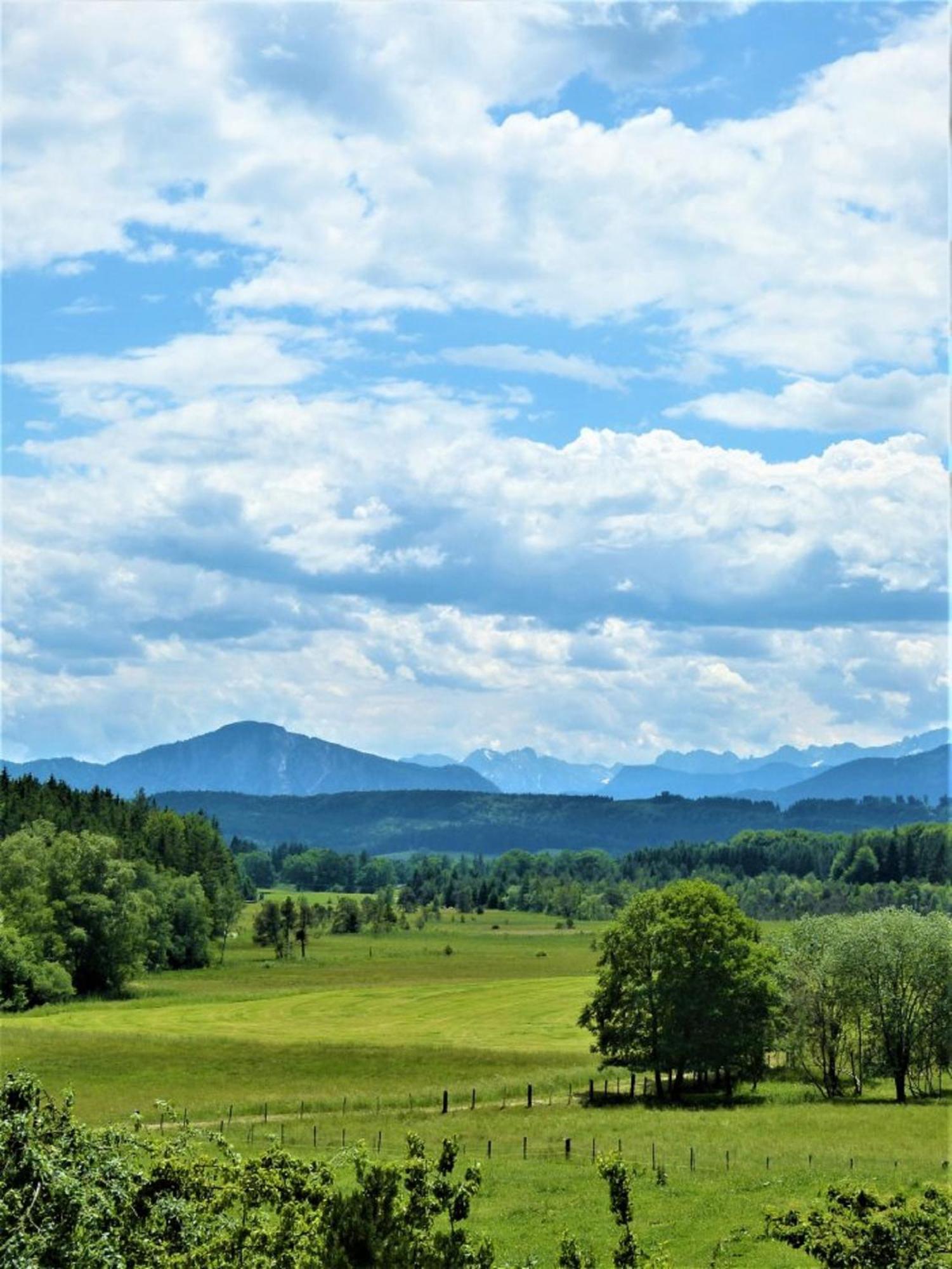 Апартаменты Druckerhof Obersochering